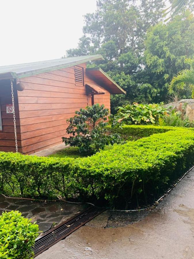 Hotel Quetzal Inn Monteverde Esterno foto